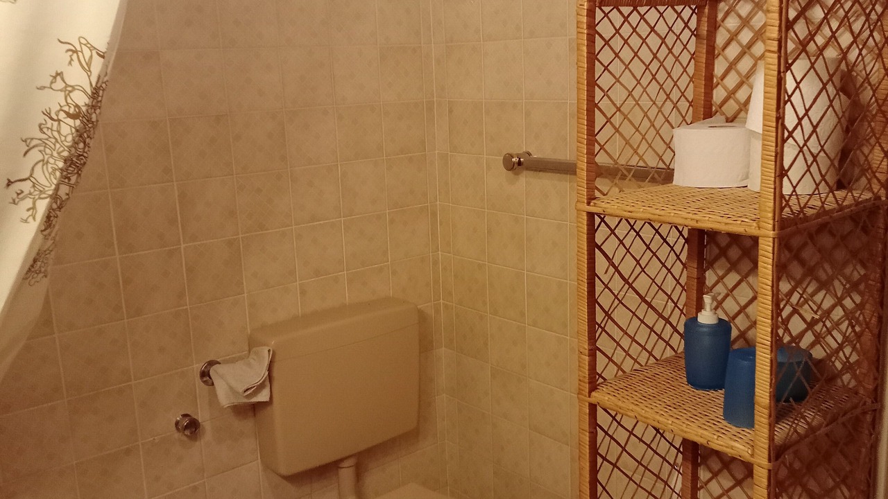 Photo of Bathroom in Montreux