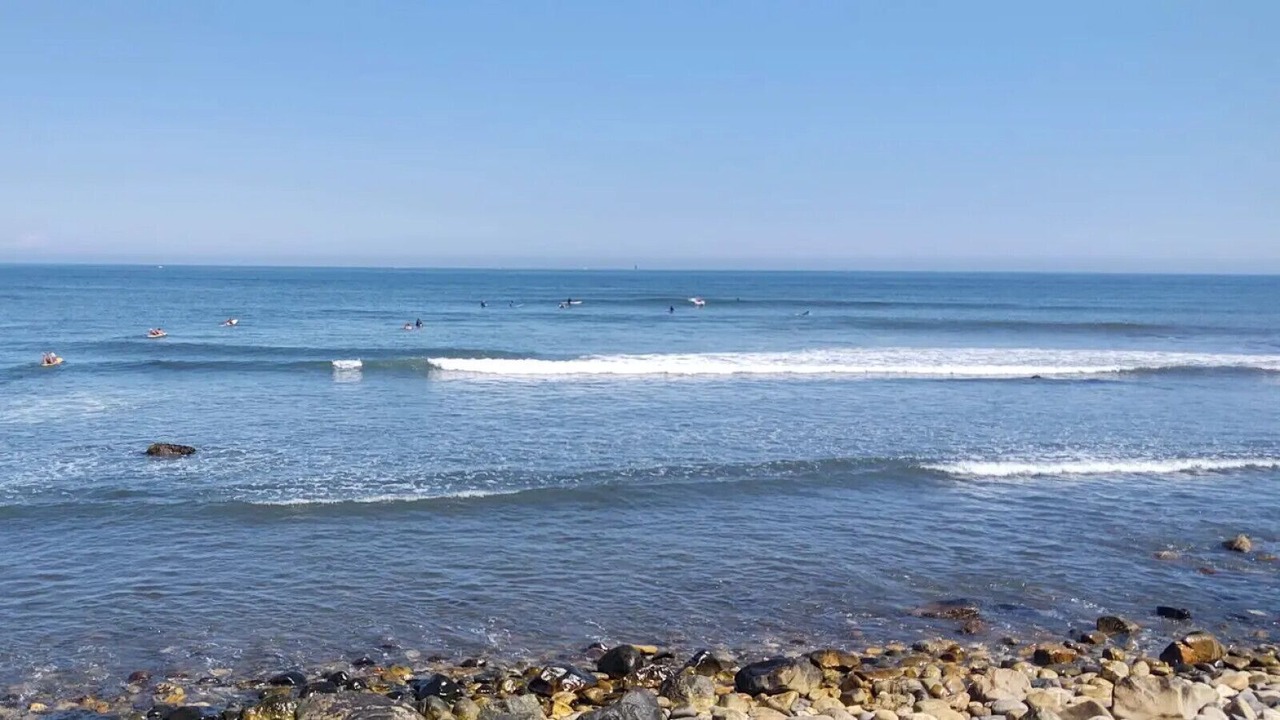 Photo of Others in Point Judith