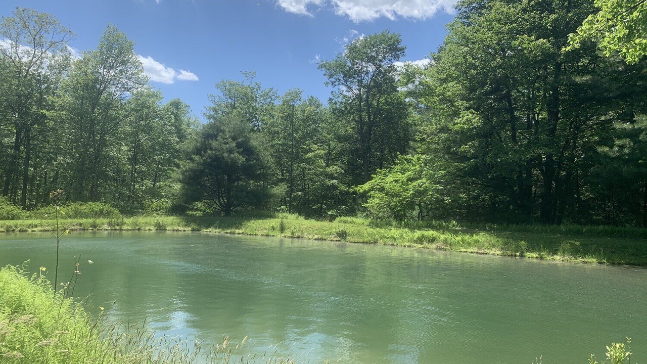 Photo of Others in Spring Mills