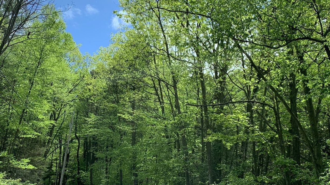 Photo of Others in Spring Mills