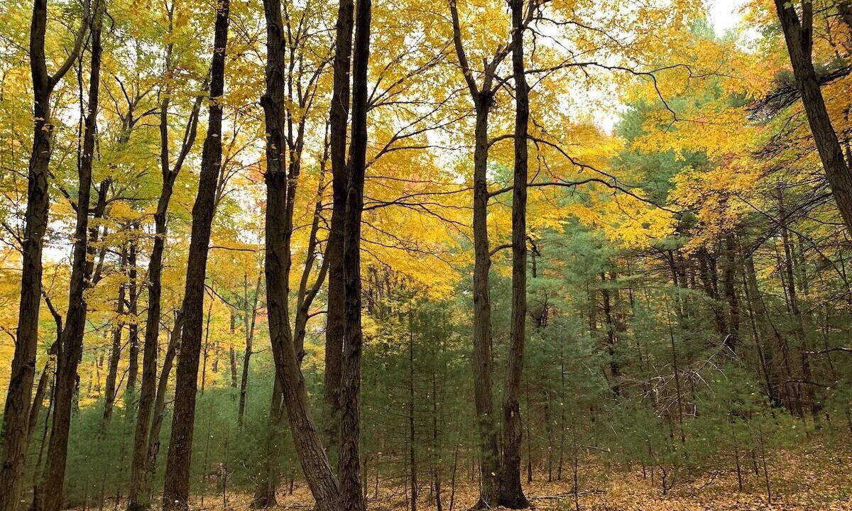 Photo of Others in Spring Mills