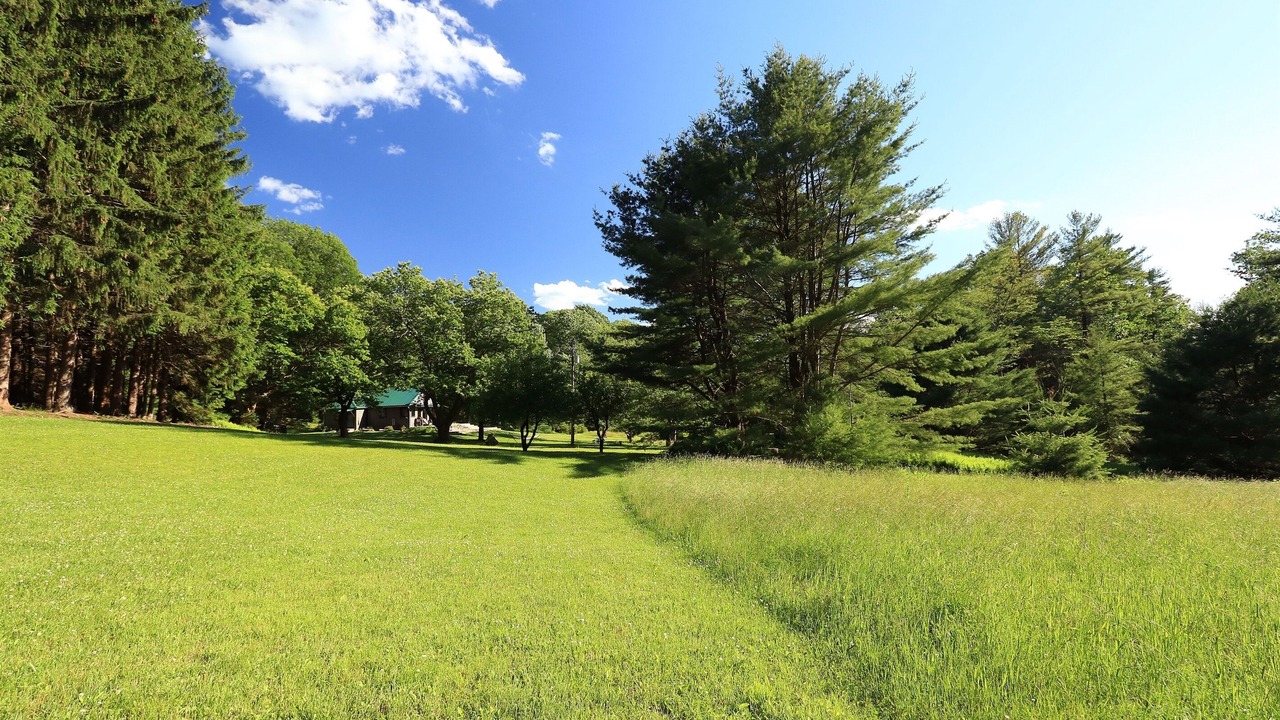 Photo of Others in Spring Mills