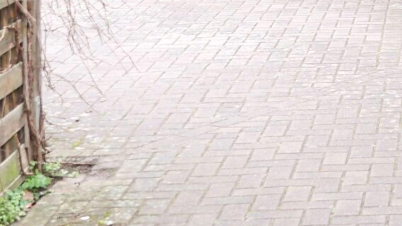 Photo of Outdoor in Neubrandenburg