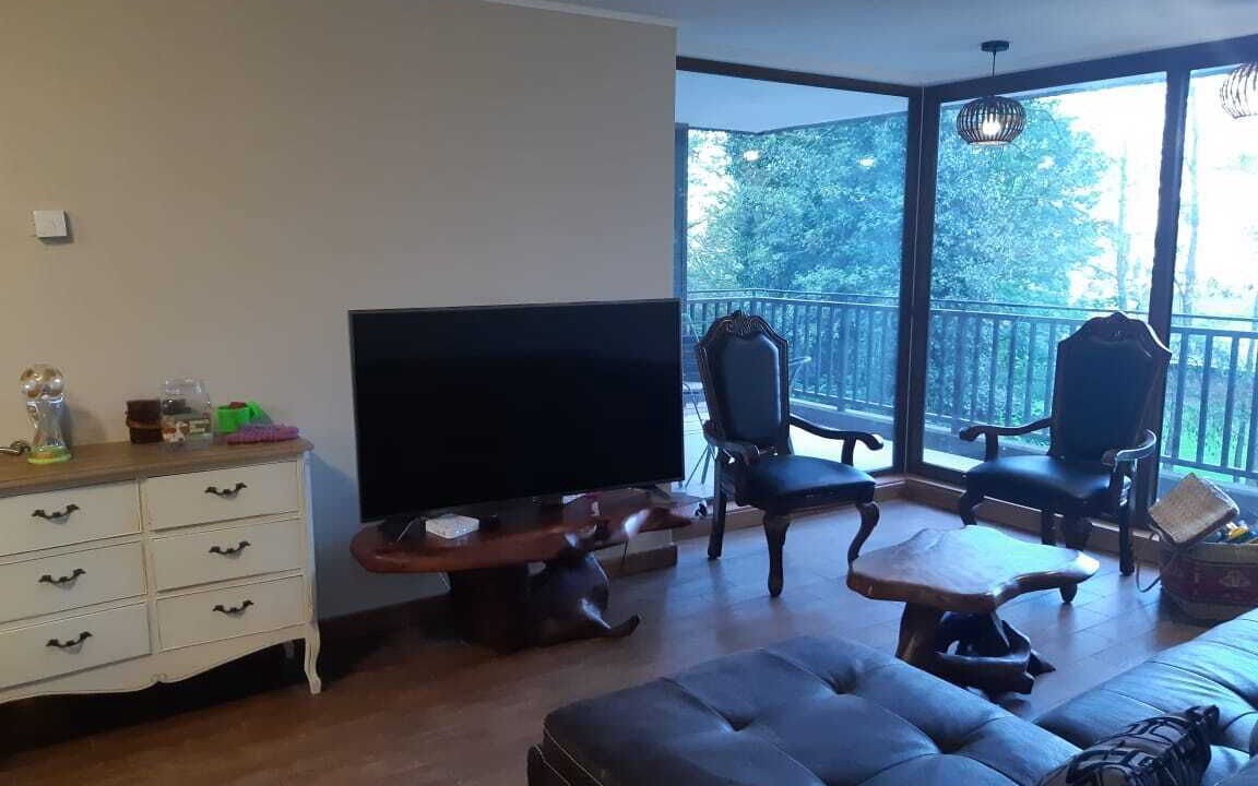 Photo of Livingroom in Puerto Varas