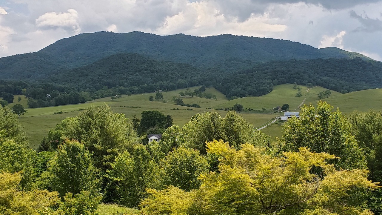 Photo of Others in Blacksburg