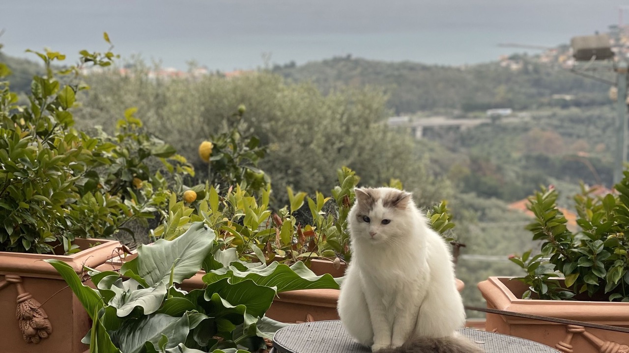 Photo of Outdoor in Serreta