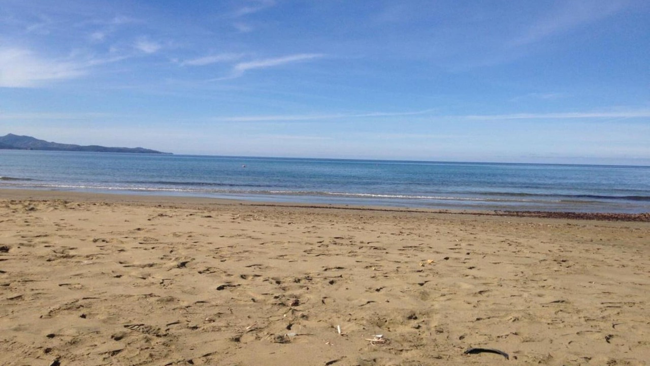 Photo of Others in Sables-d'Or-les-Pins