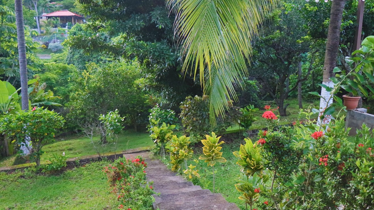 Photo of Outdoor in Tamanique