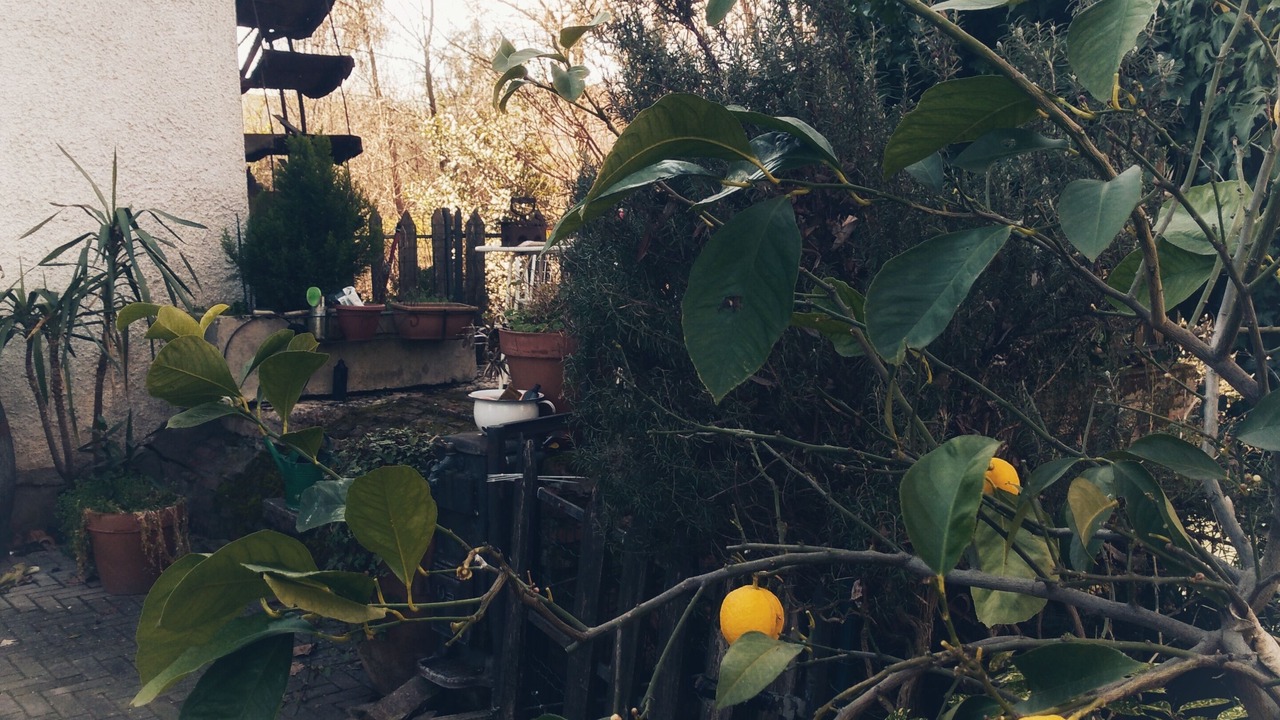 Photo of Outdoor in San Martino Buon Albergo