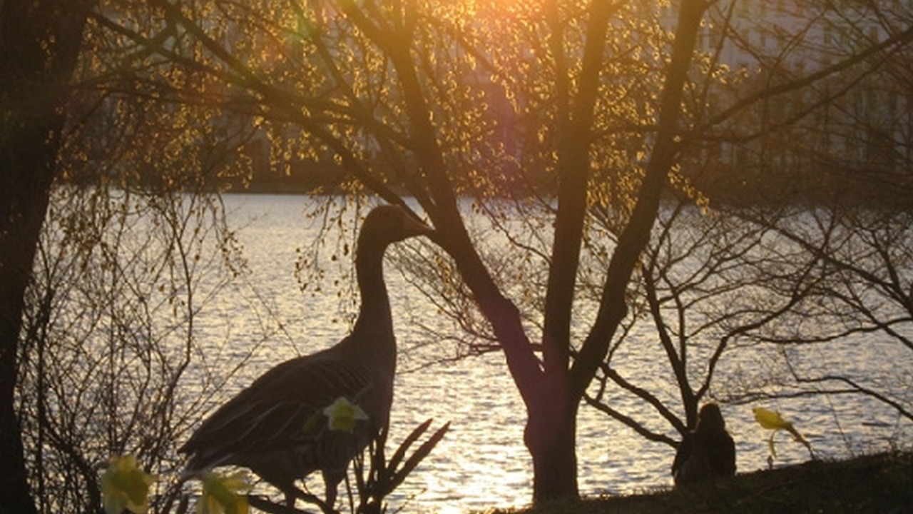 Photo of Others in Hamburg City Center