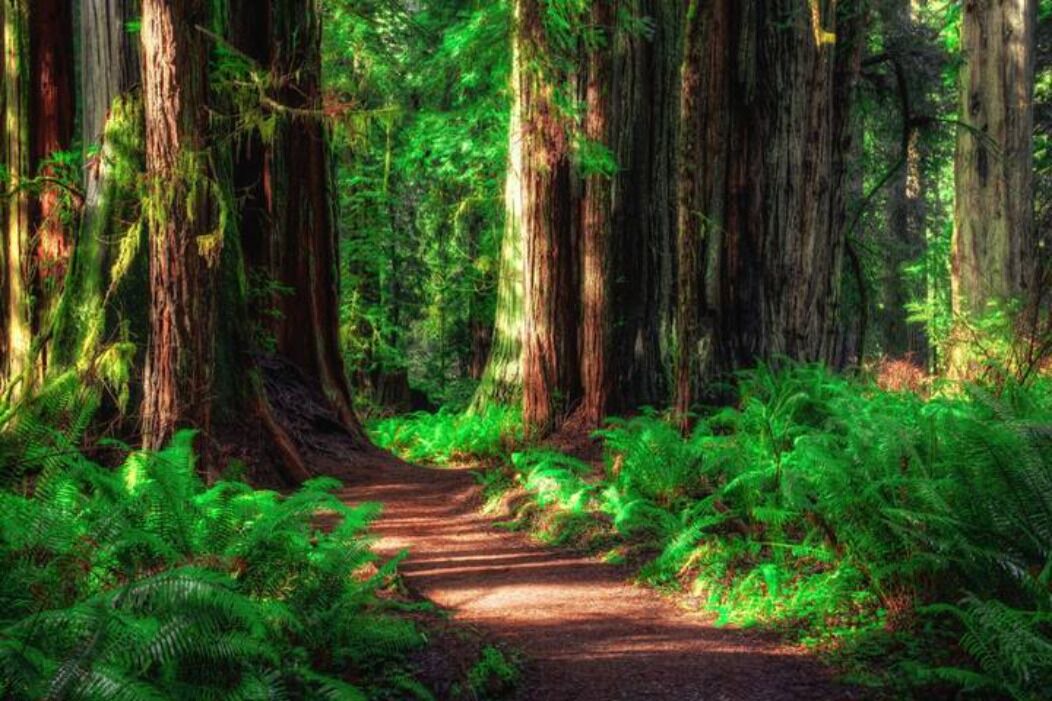 Photo of Outdoor in Grants Pass