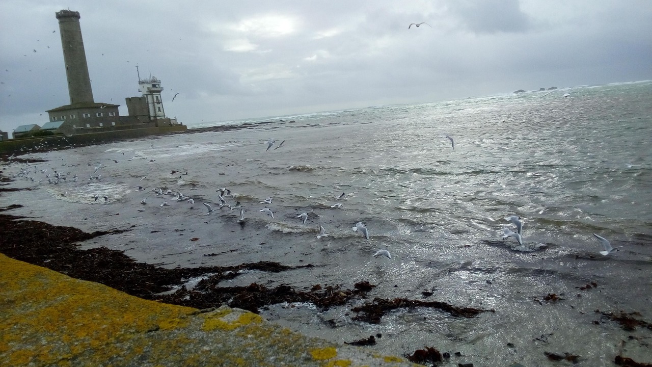 Photo of Others in Plogonnec