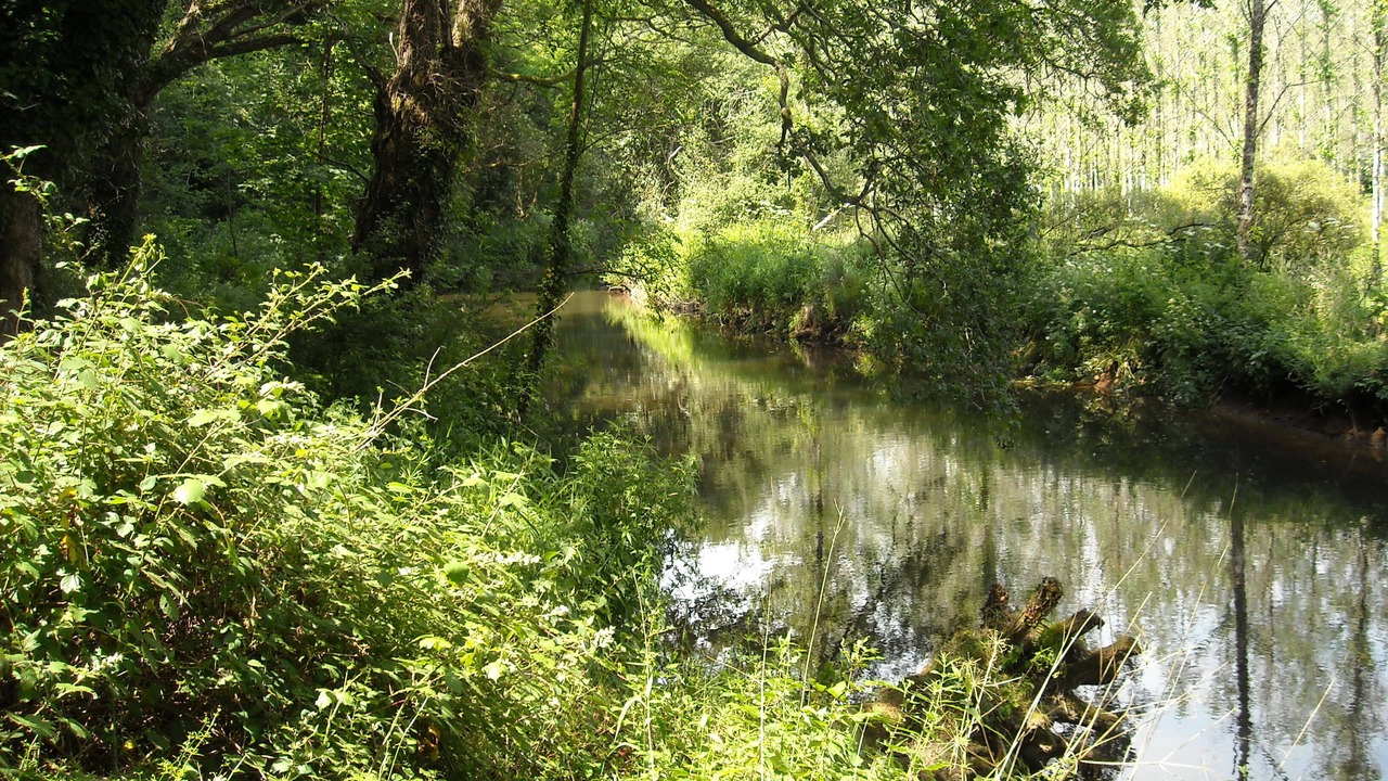 Photo of Outdoor in Plogonnec