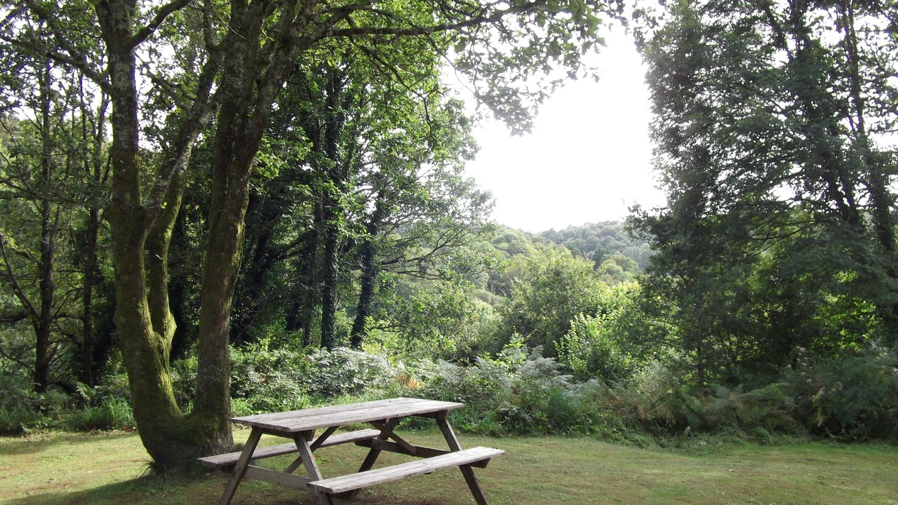 Photo of Outdoor in Plogonnec