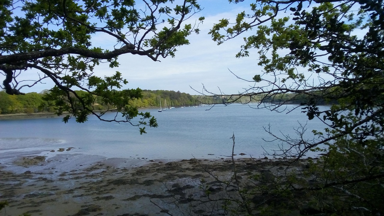 Photo of Others in Plogonnec