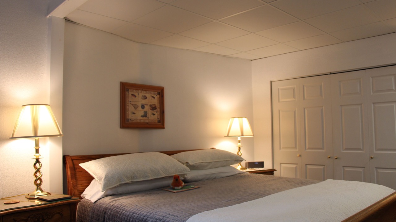 Photo of Bedroom in Healy