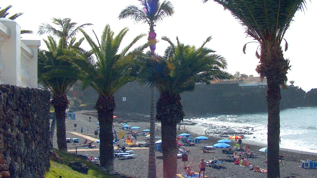Photo of Others in Puerto de Santiago