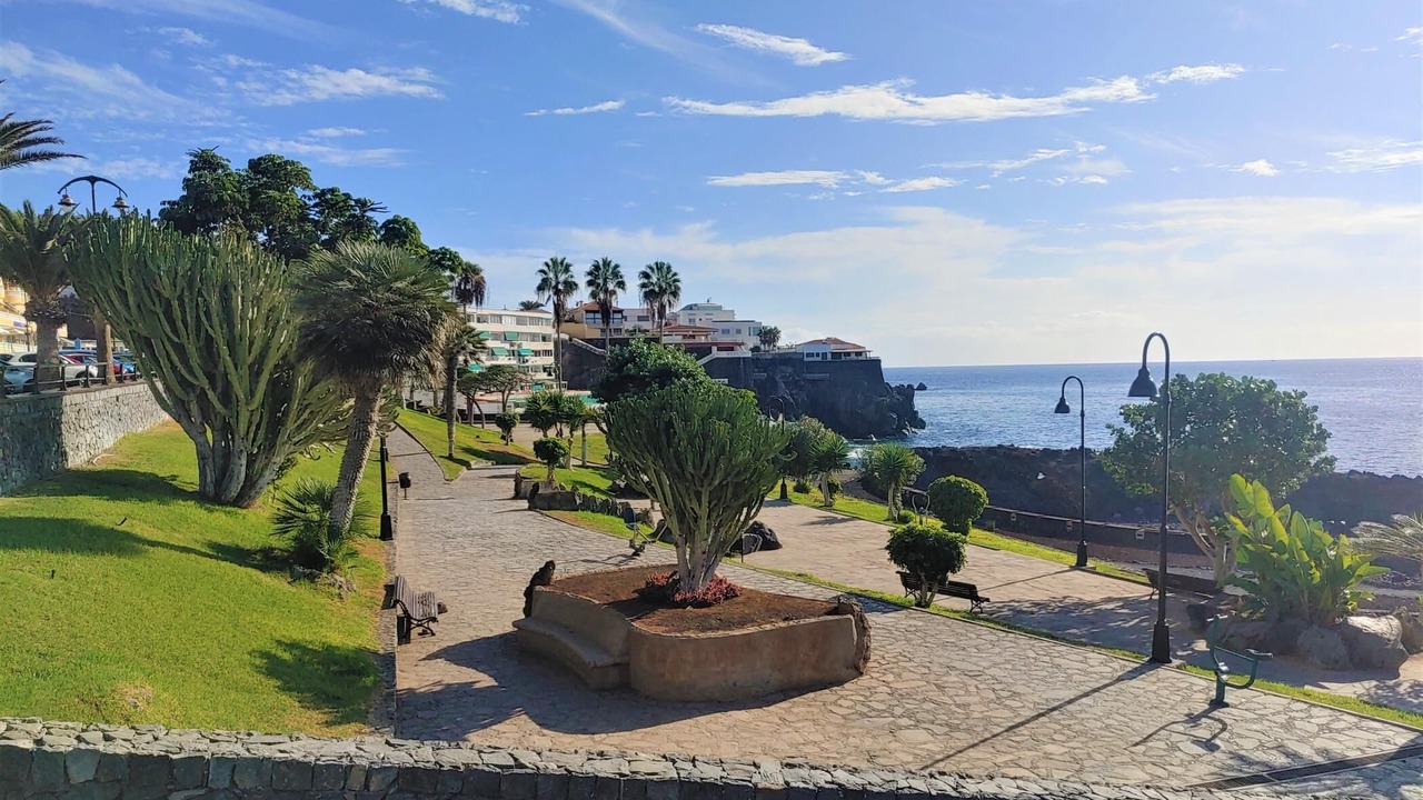Photo of Outdoor in Puerto de Santiago