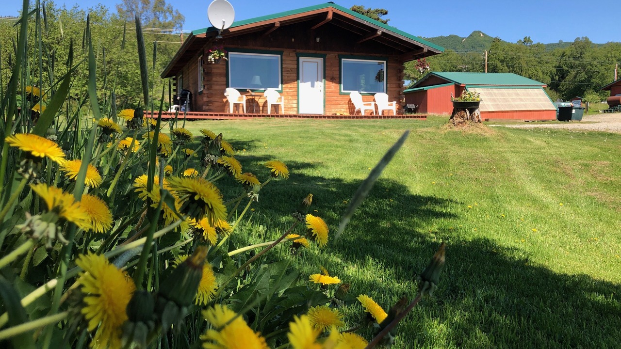Photo of Outdoor in Kachemak