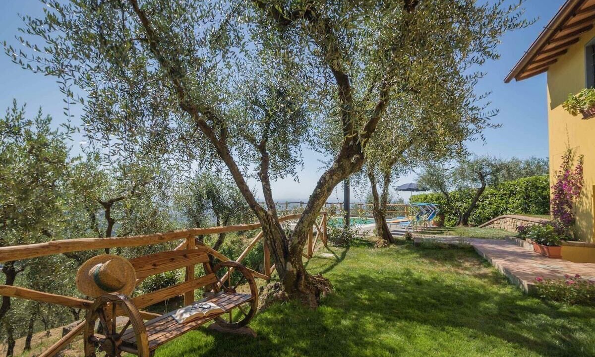 Photo of Outdoor in Pescia