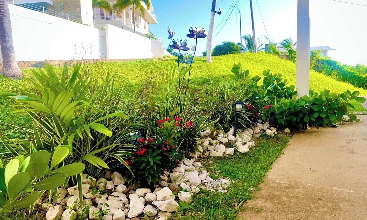 Photo of Outdoor in Demajagua