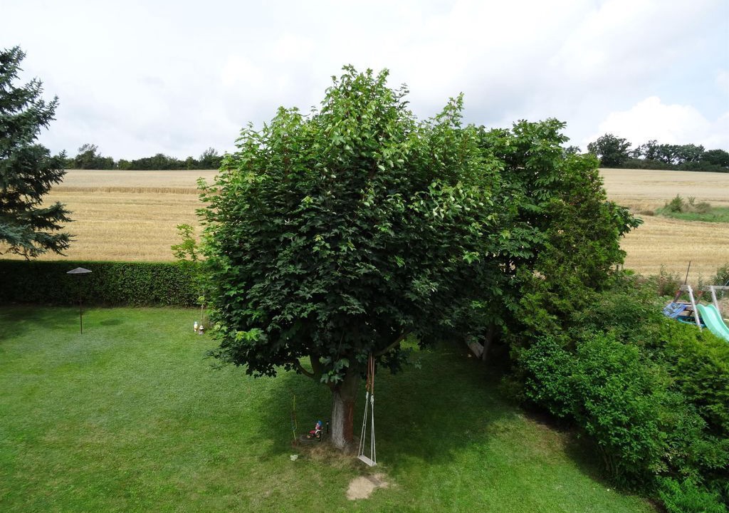 Photo of Outdoor in Welling