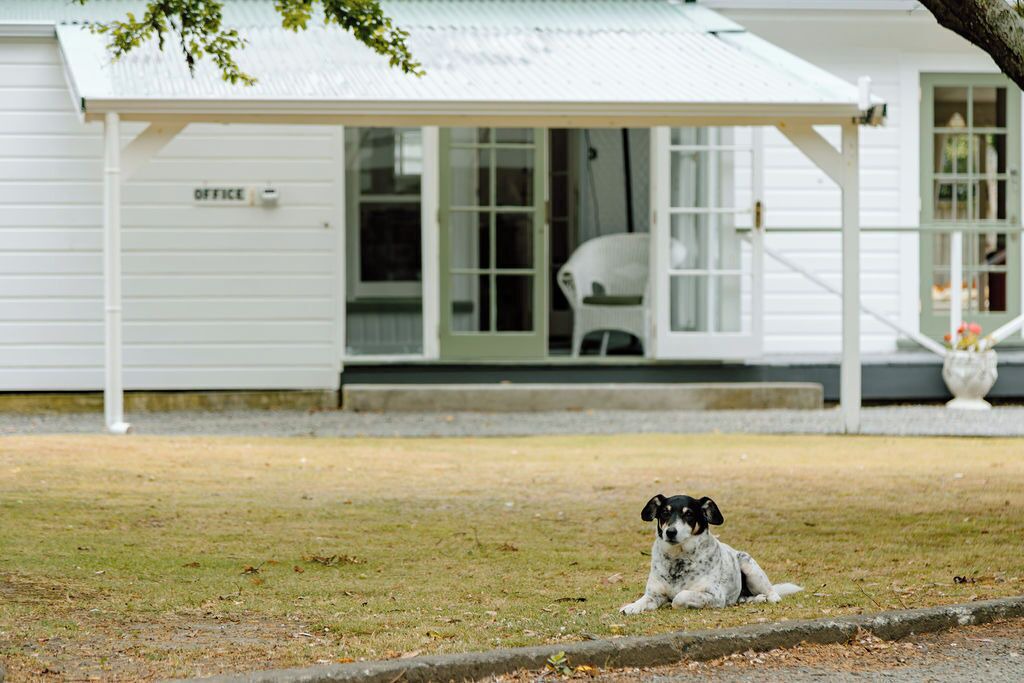 Photo of Others in Palliser Bay