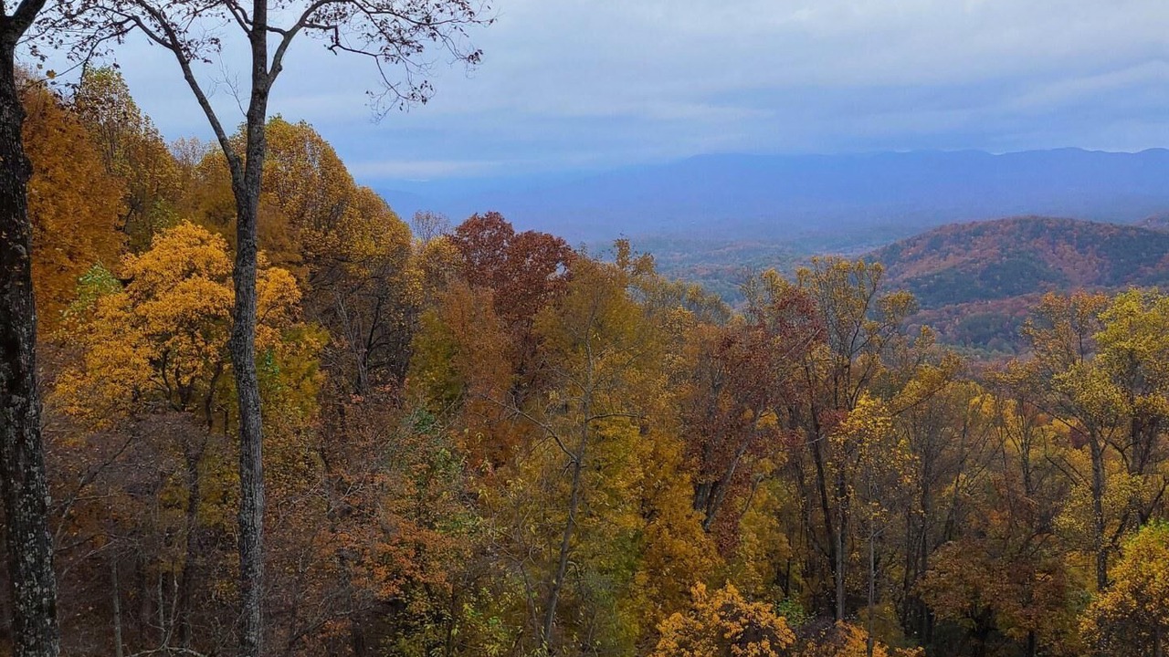 Photo of Others in Walnut Mountain
