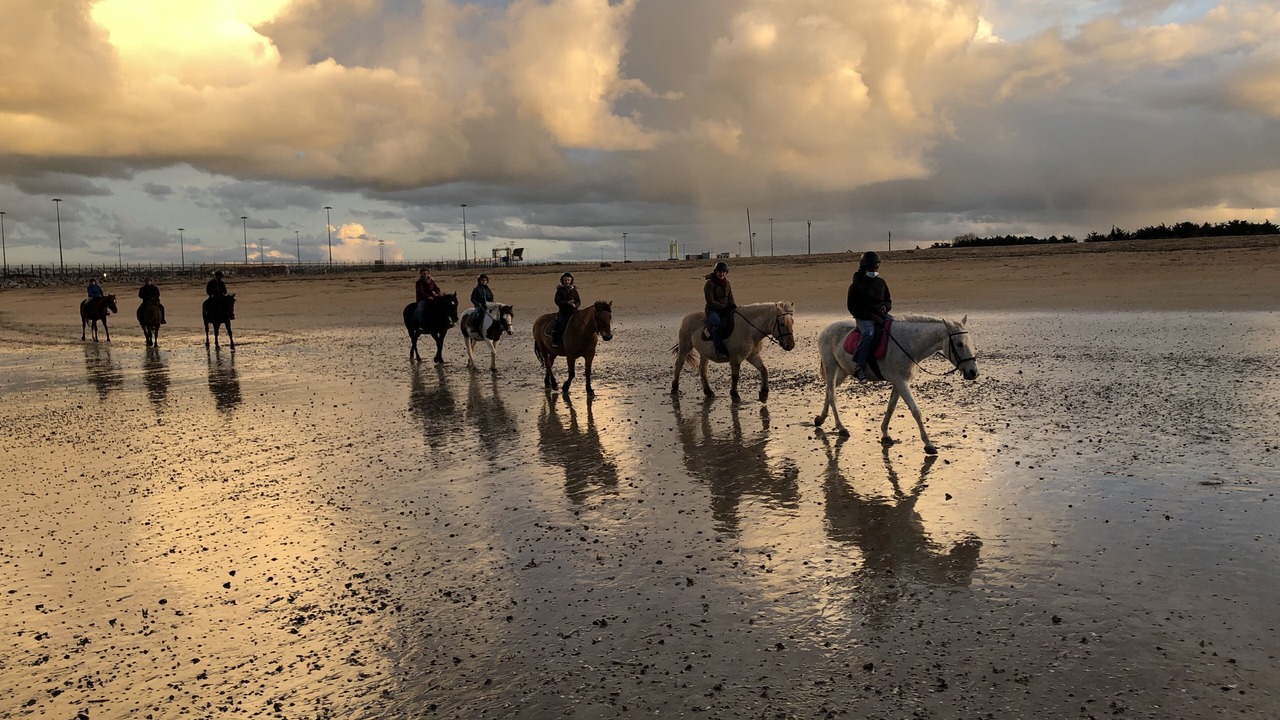 Photo of Others in Hermanville-sur-Mer