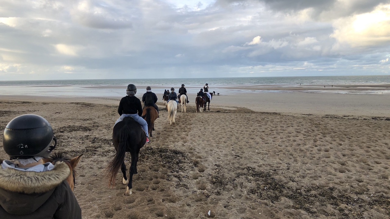 Photo of Others in Hermanville-sur-Mer