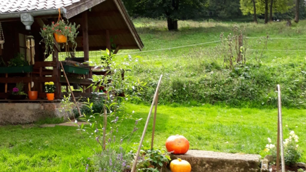 Photo of Others in Kurort Brotterode