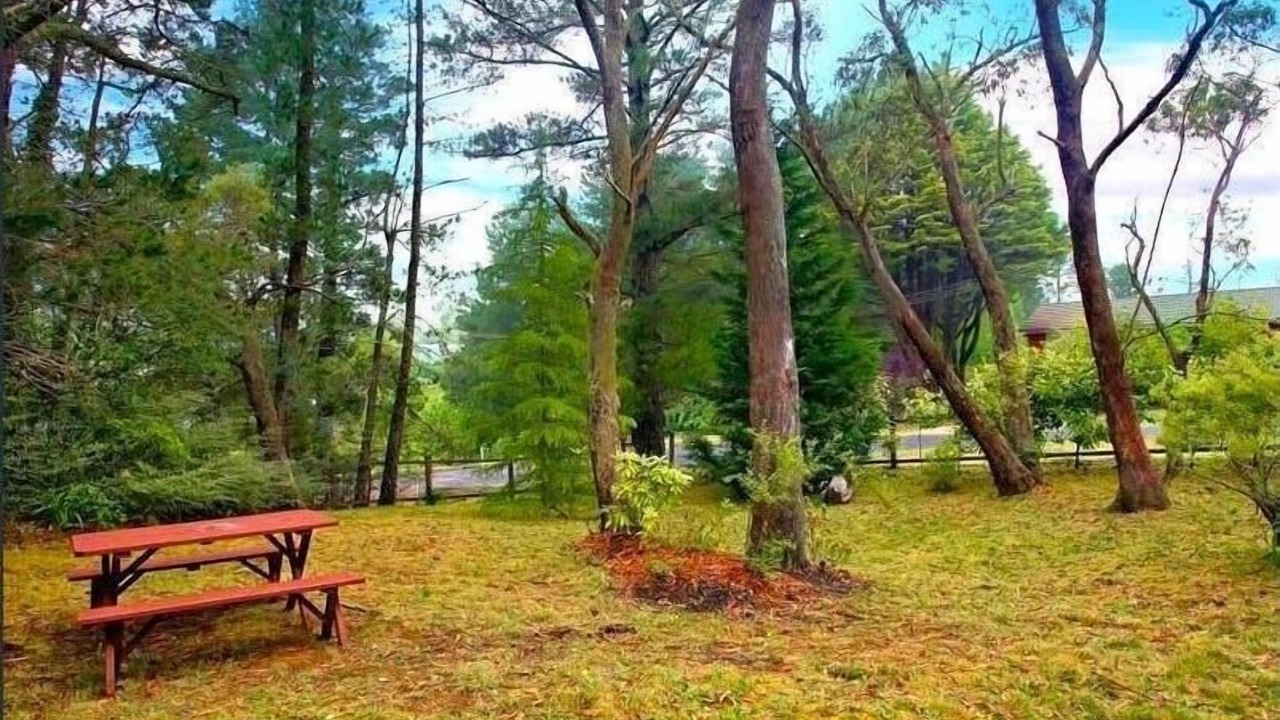 Photo of Outdoor in Leura