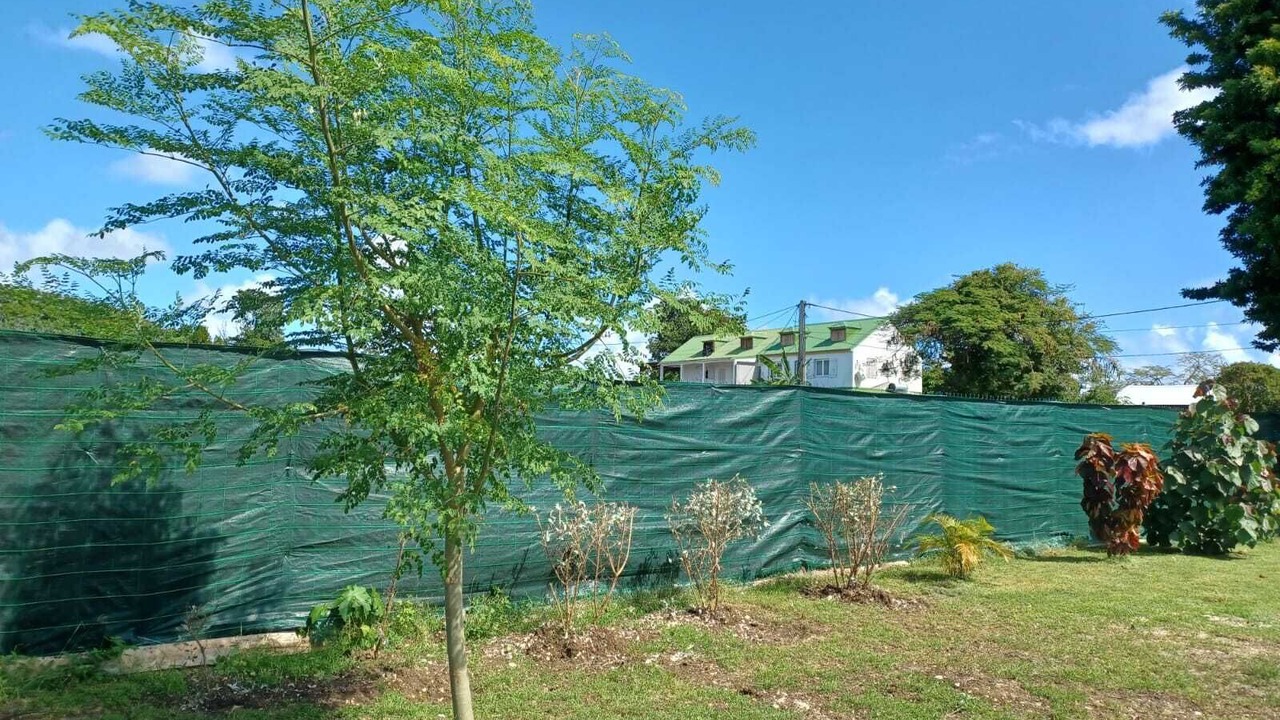 Photo of Outdoor in Morel