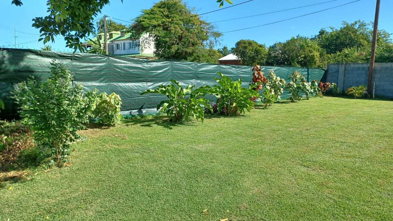Photo of Outdoor in Morel