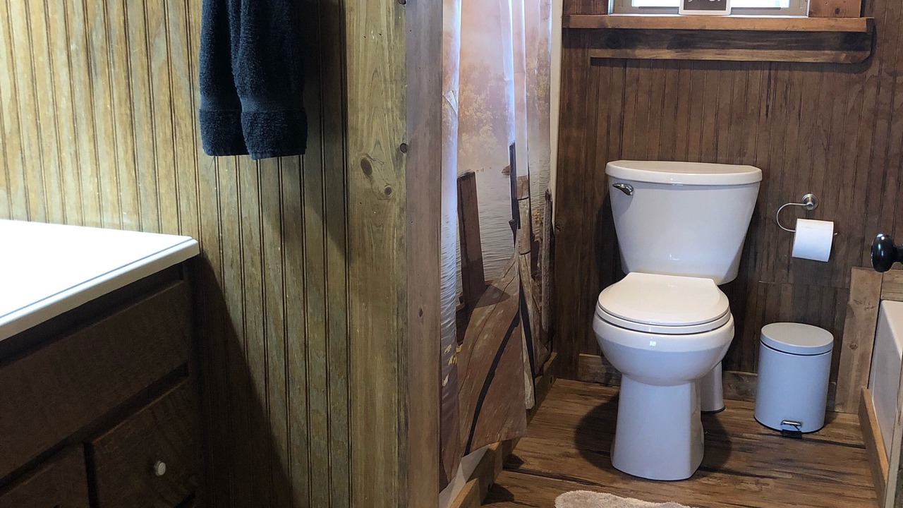 Photo of Bathroom in Young Harris