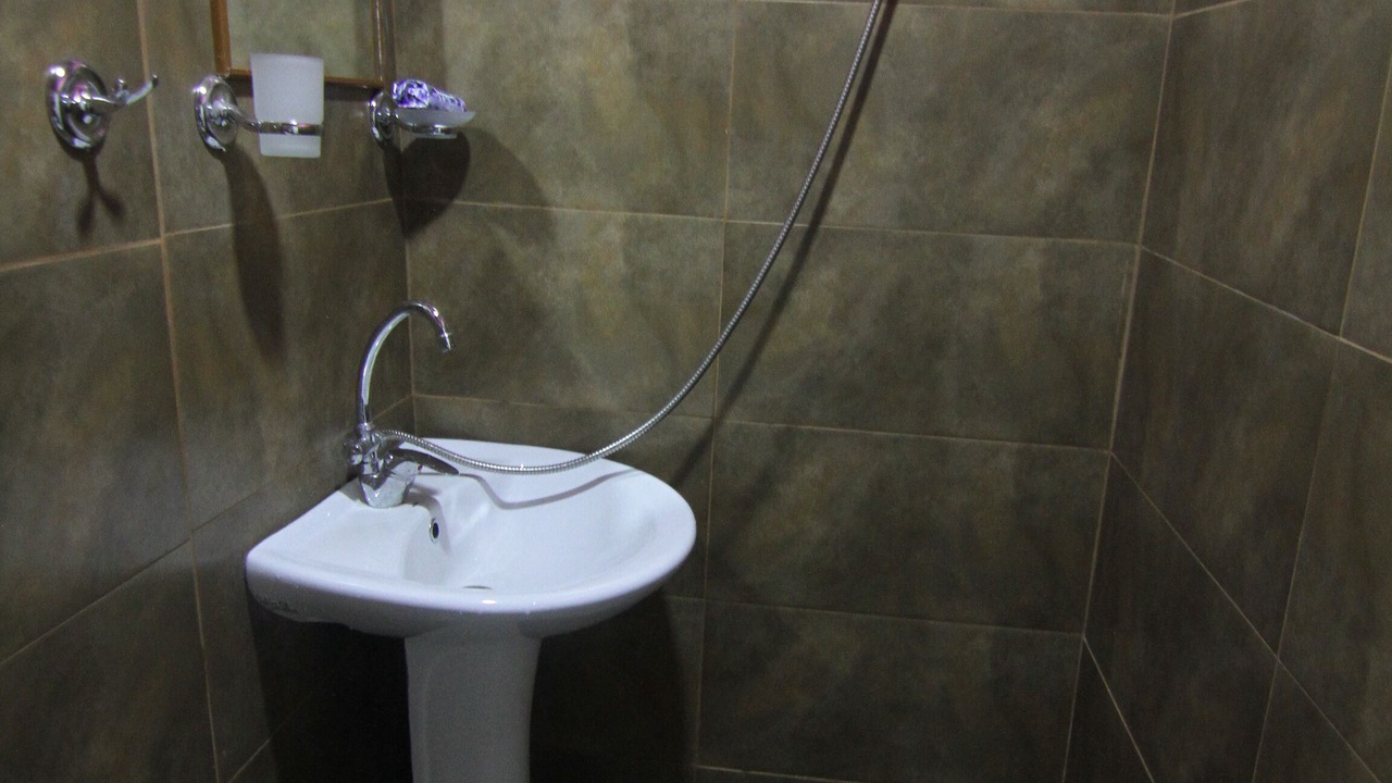 Photo of Bathroom in Avlabari