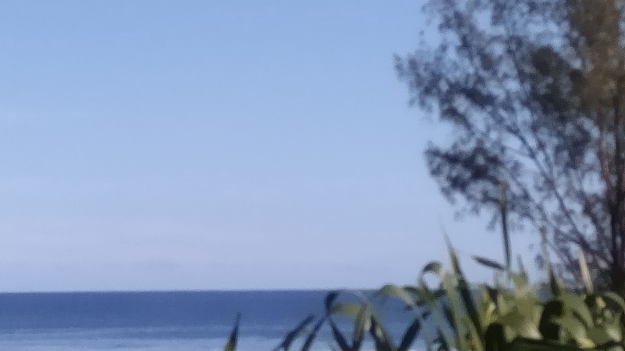 Photo of Others in Arorangi