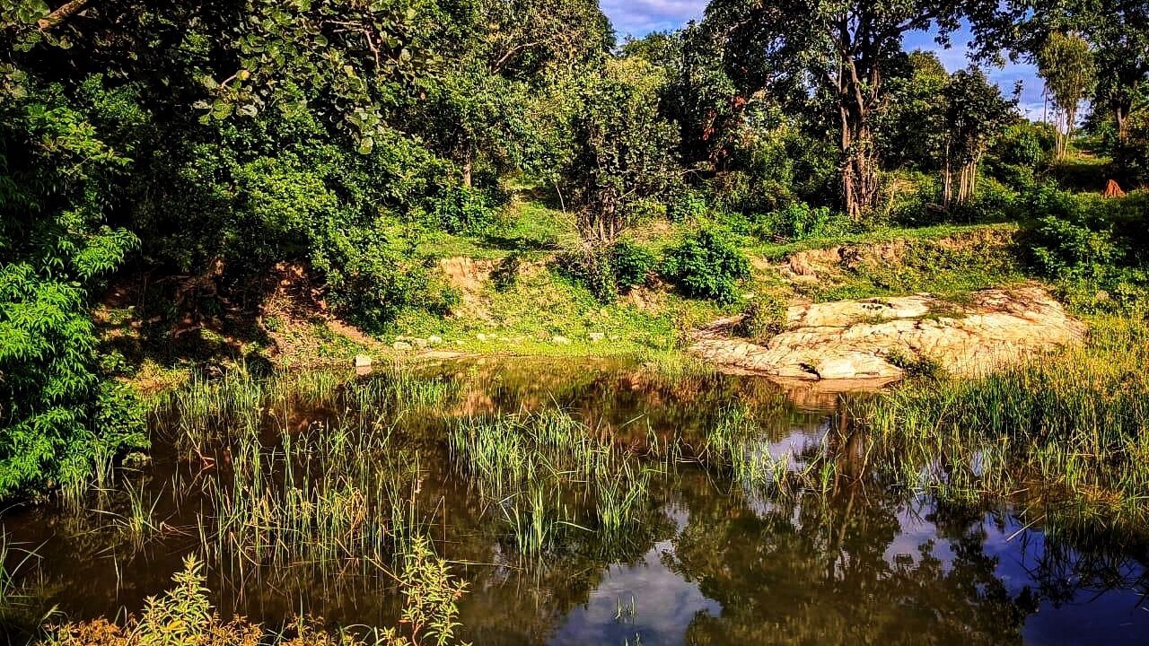 Photo of Outdoor in Anekal