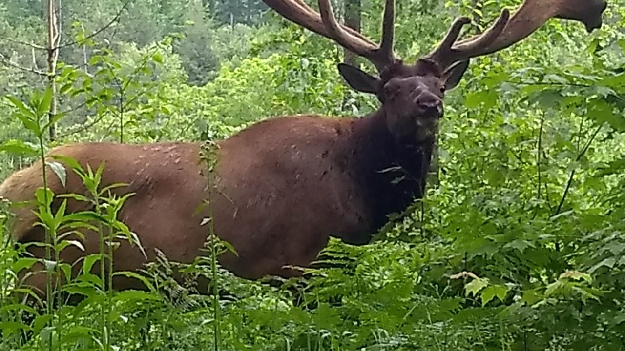 Photo of Others in North Bend