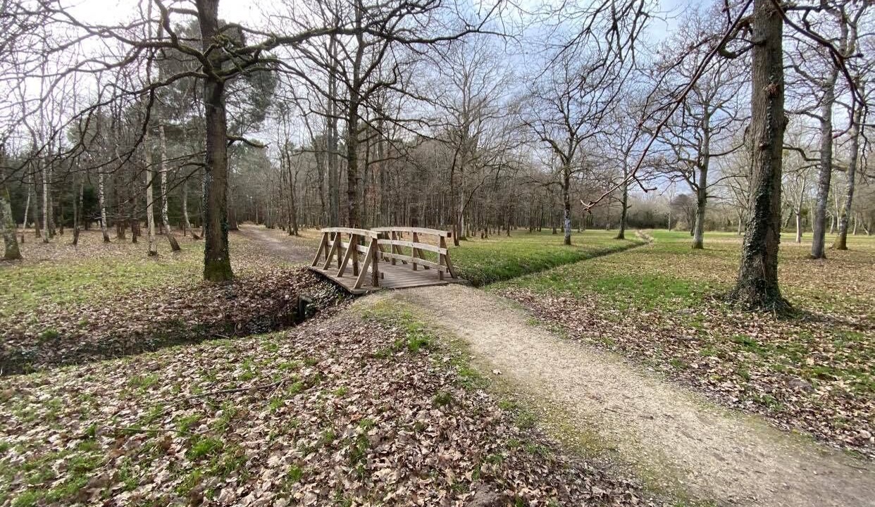 Photo of Outdoor in Mur-de-Sologne