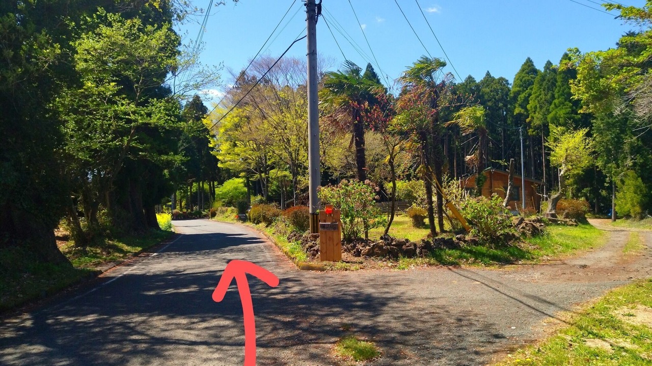 Photo of Others in Aso