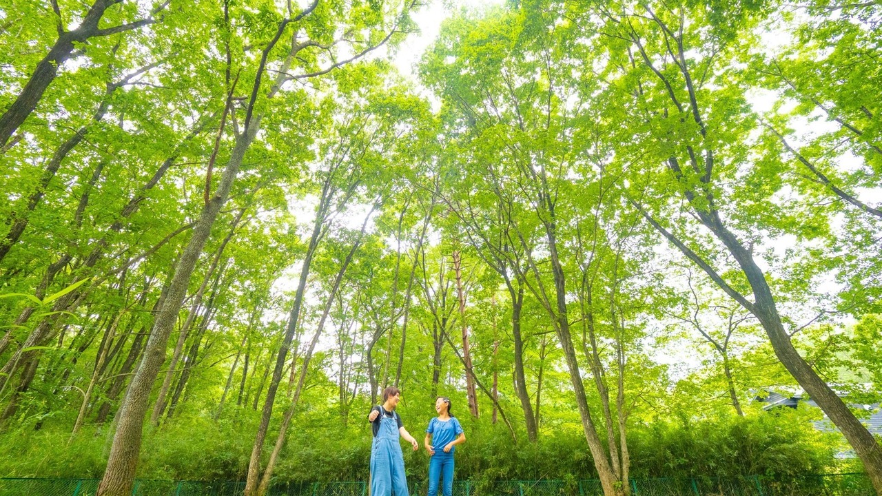 Photo of Others in Nasu
