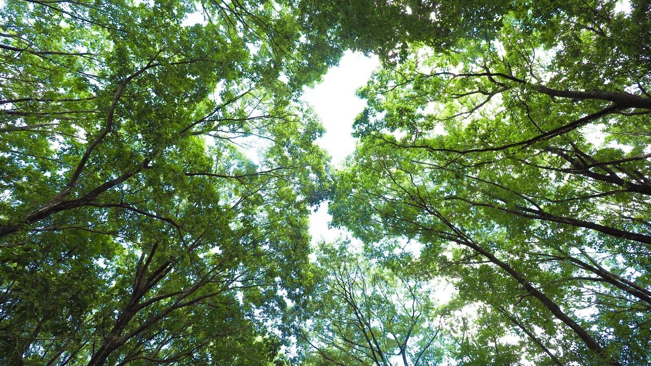 Photo of Outdoor in Nasu