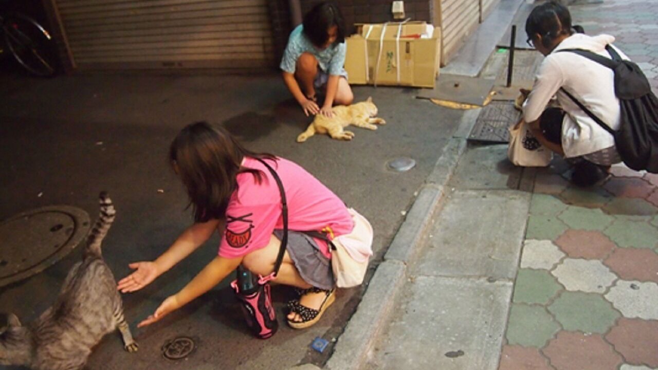 Photo of Others in Higashitateishi