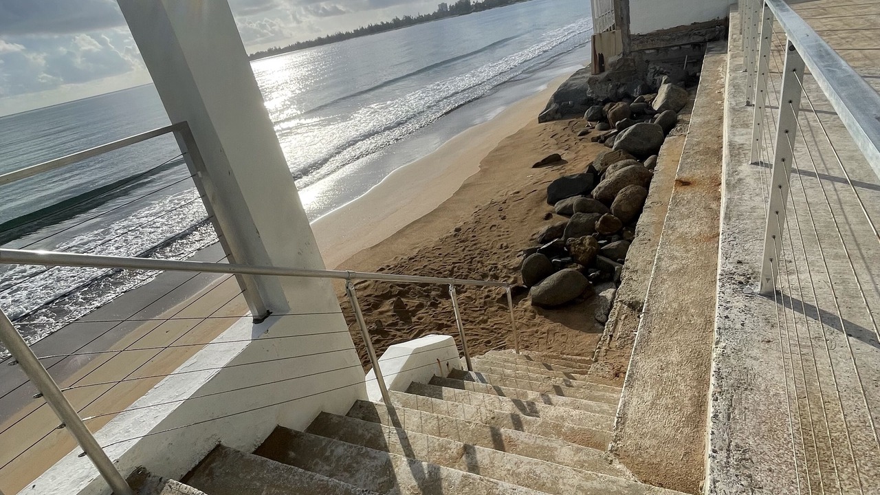 Photo of Others in Playa Fortuna