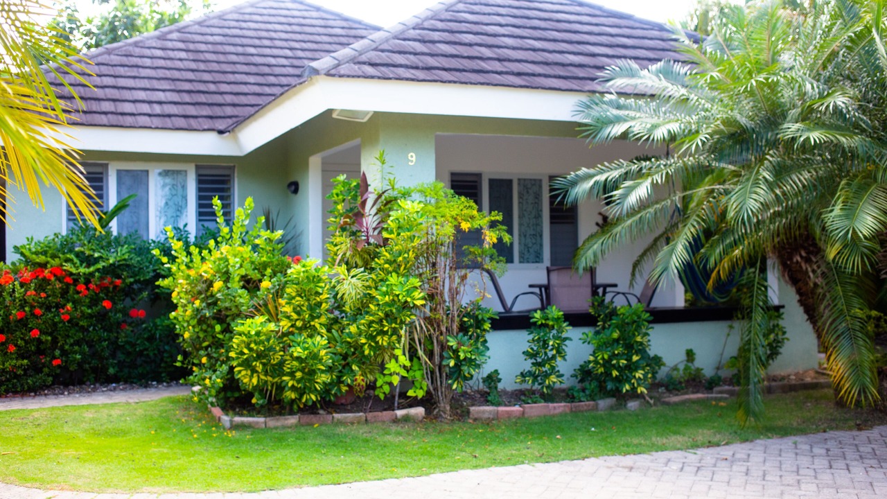 Photo of Outdoor in St. Ann's Bay