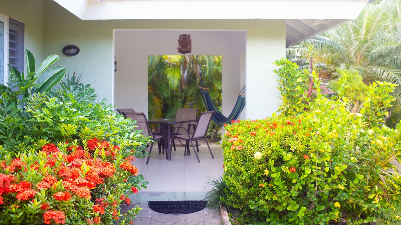 Photo of Outdoor in St. Ann's Bay