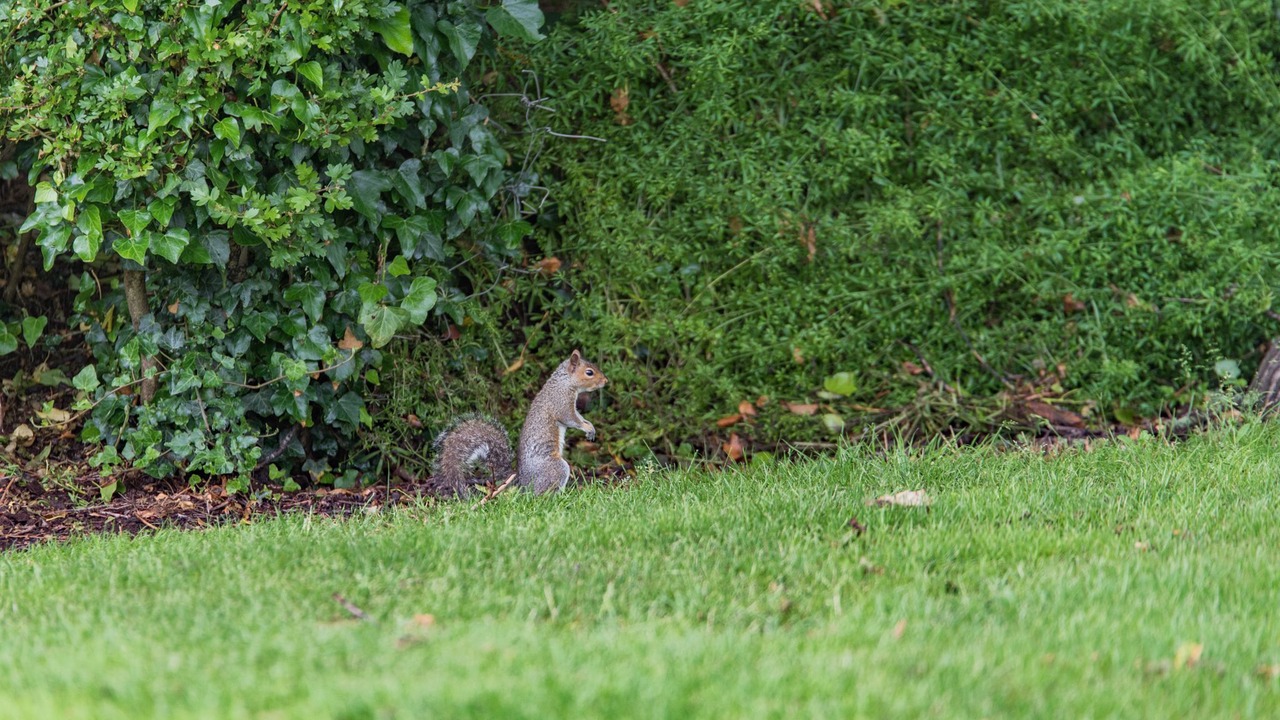 Photo of Outdoor in Ewhurst Green
