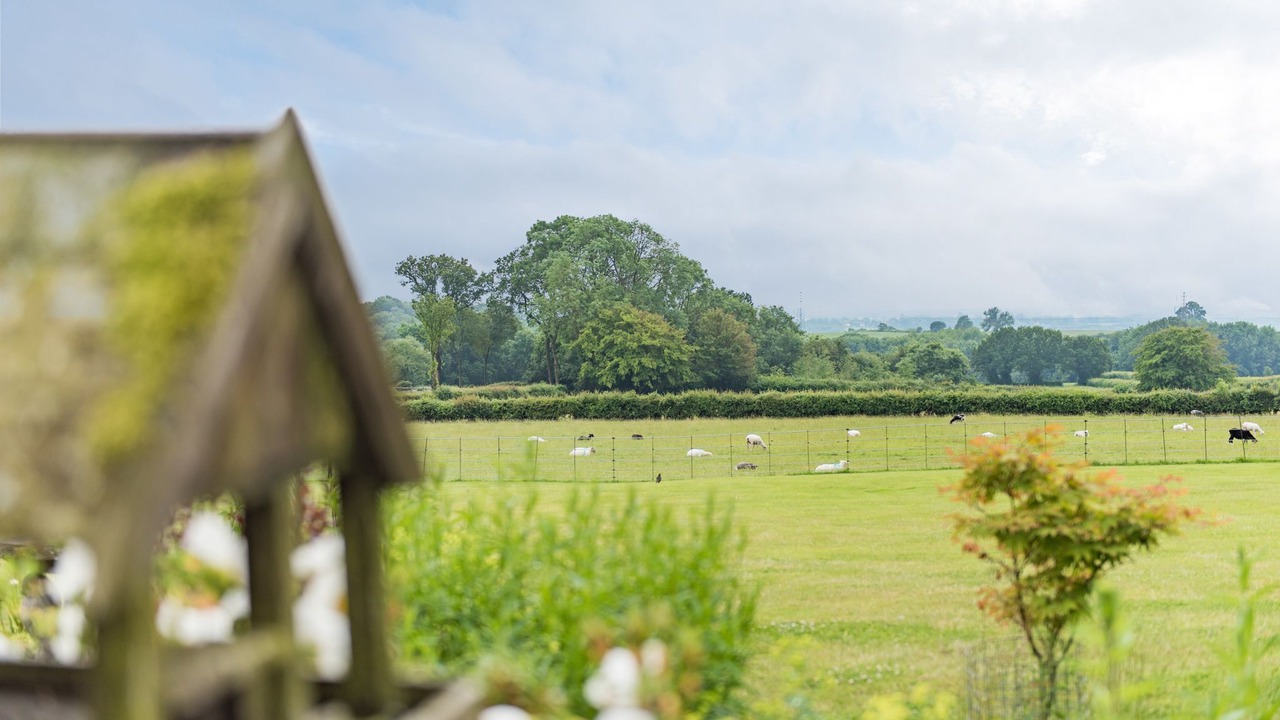 Photo of Outdoor in Ewhurst Green
