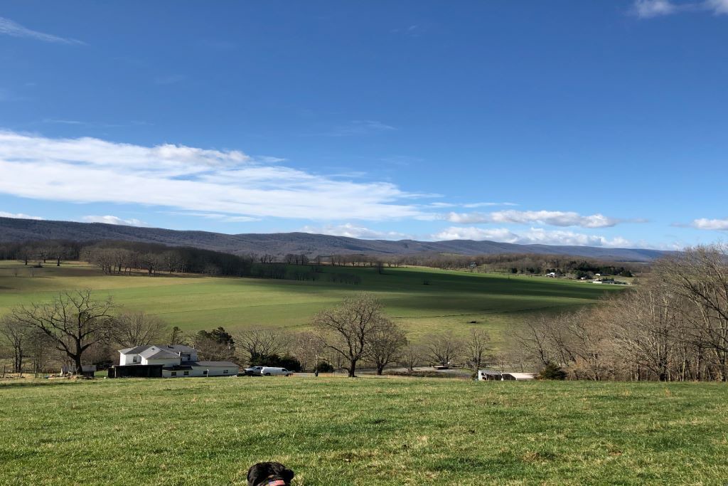 Photo of Others in Gap Mills